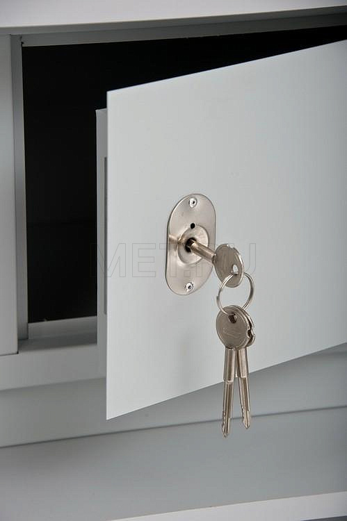 ША.01.00 (1000-560-1910) Аптечный шкаф для медикаментов с металлическим трейзером, серия "Бест"