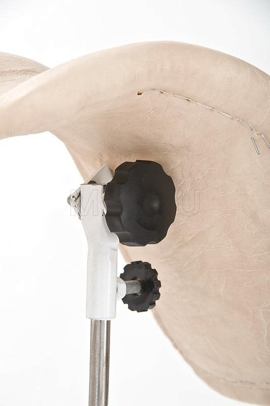 MМ №15 Кресло гинекологическо-проктологическое с двумя электроприводами MET